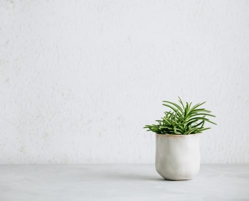 Pot de plante verte sur plan de travail en marbre